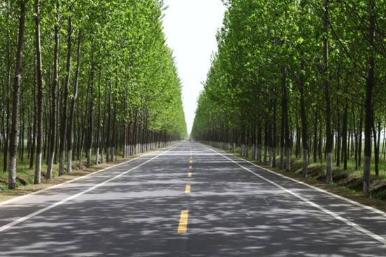 公路、綠化、廣場(chǎng)工程